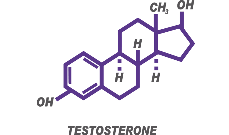 Does Low Testosterone Impact Your Baby-Making Abilities?