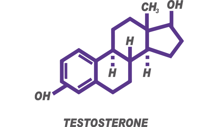 Does Low Testosterone Impact Your Baby-Making Abilities?