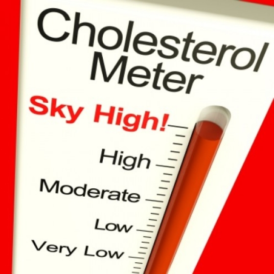 Cholesterol and Statins –Are You Asking The Right Questions?