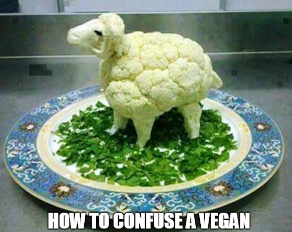 Why Some Vegetarians or Vegans Thrive and Others Fail