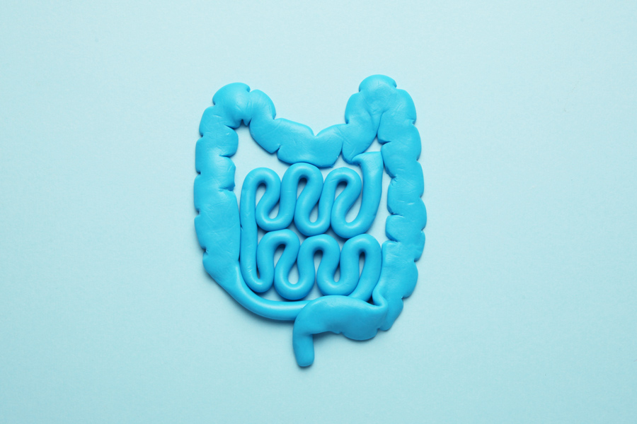 What Are The Signs Of A Healthy Gut? – Gut Health 101