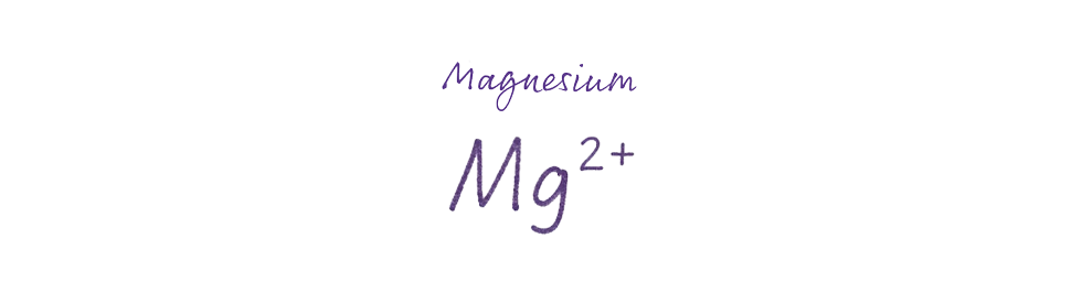 Magnesium Infusions + Shots